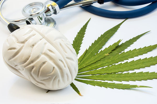 Read more about the article Cognitive effects in midlife of long-term cannabis use